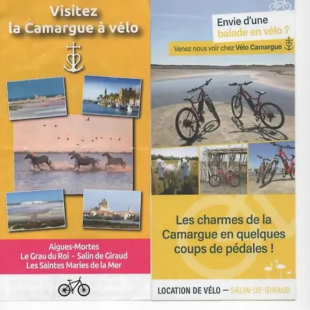 Les Oliviers De Camargue * Salin-de-Giraud